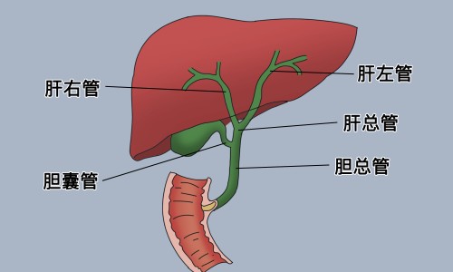 骨结核和肺结核哪个更严重-骨结核和肺结核哪个更严重-骨结核和肺结核哪个更严重,中国骨癌与骨结核区别网站