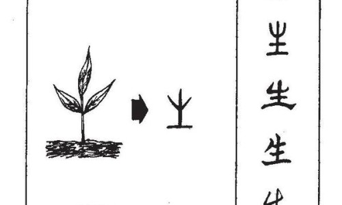 骨癌和骨结核有什么区别-骨结核和肺结核哪个更严重-骨结核和肺结核哪个更严重,中国骨癌与骨结核区别网站
