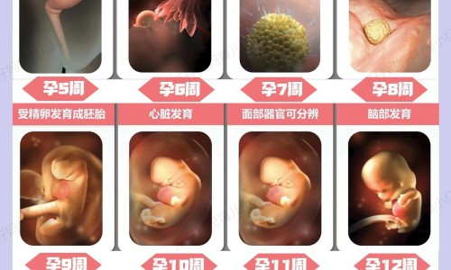骨结核和肺结核哪个更严重-骨结核和肺结核哪个更严重,中国骨癌与骨结核区别网站