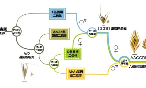 骨结核属于癌症吗-骨结核和肺结核哪个更严重-骨结核和肺结核哪个更严重,中国骨癌与骨结核区别网站